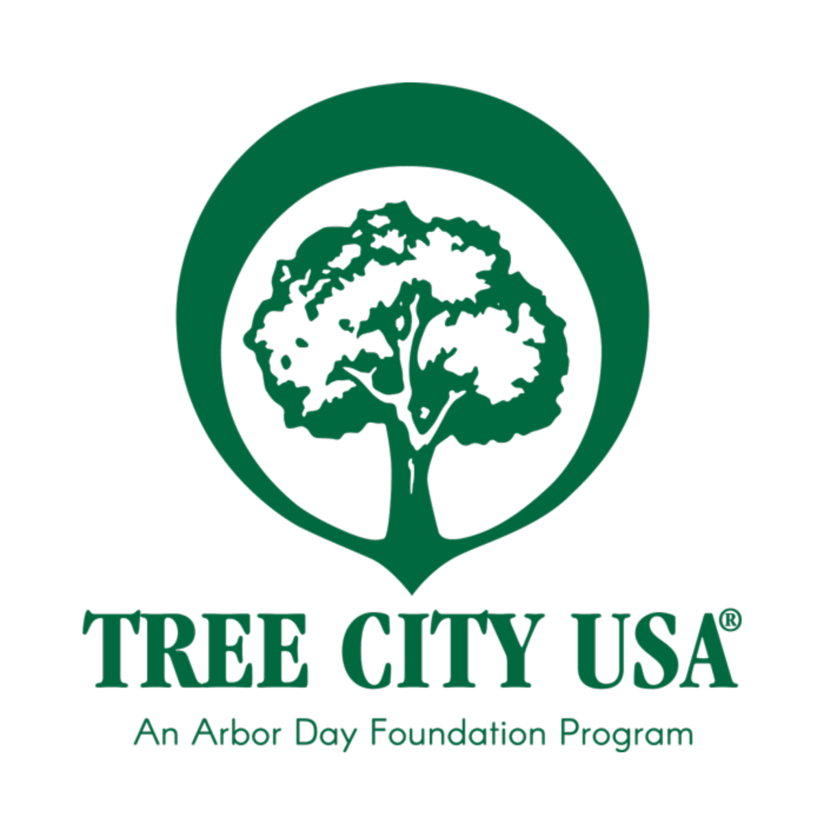 Arbor Day Foundation Names Essex Junction a 2022 Tree City USA City