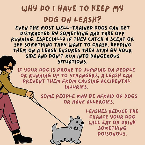 A text graphic that has the information in the story listed and has a woman with a dog on a leash.