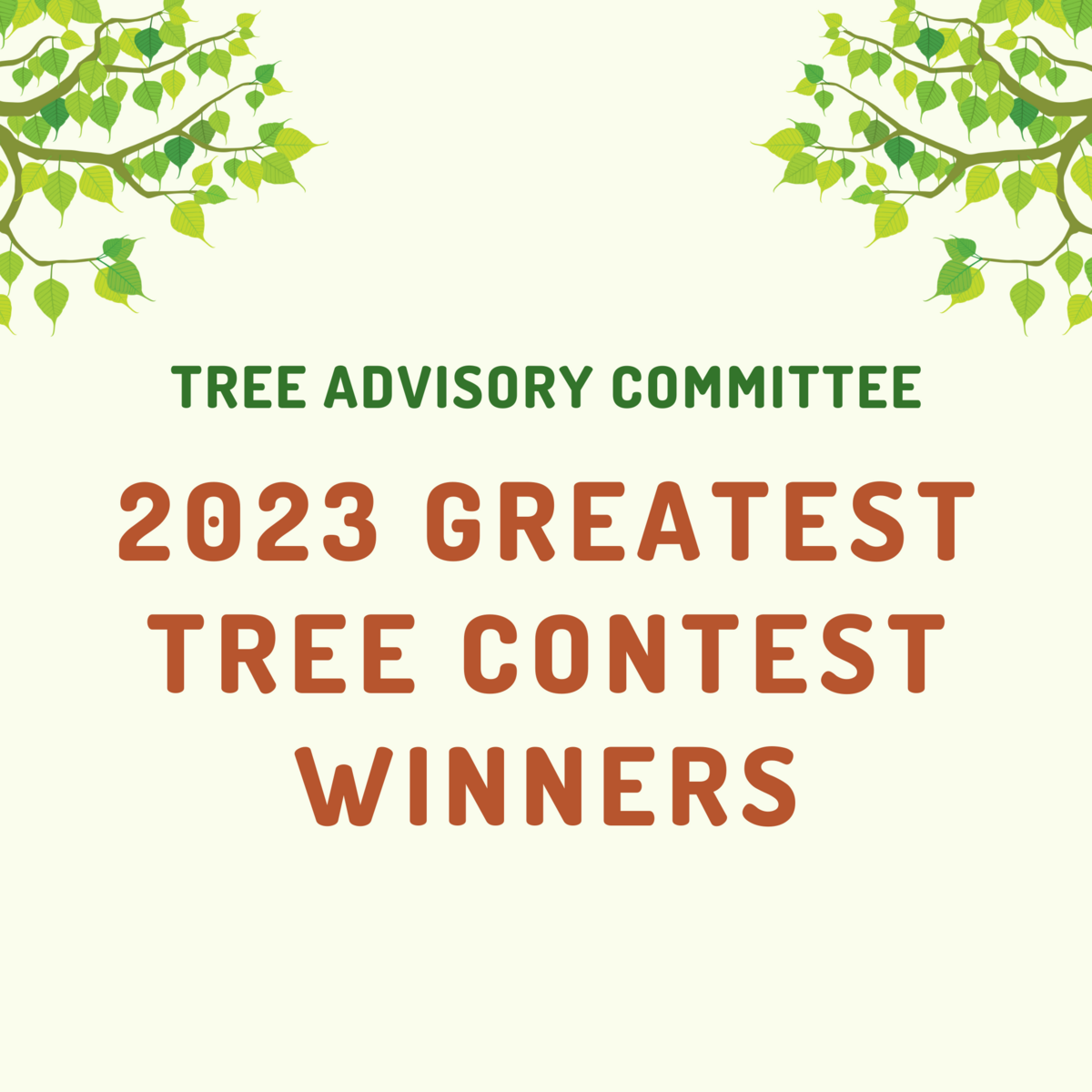TAC Announces Greatest Tree Contest Winners - City of Essex Junction ...