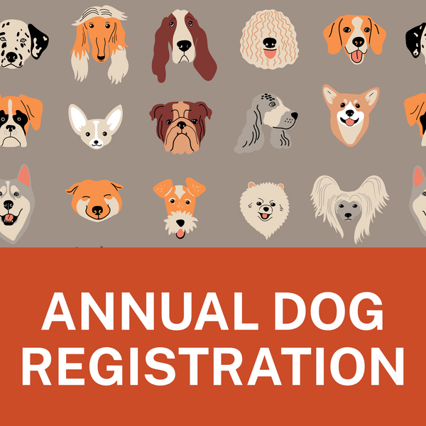 Text graphic that says “Annual Dog Registration”