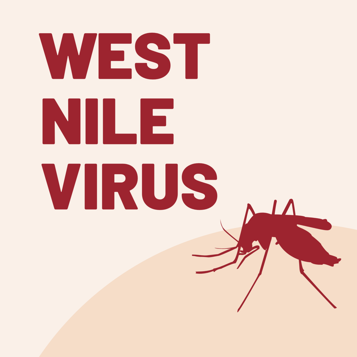 West Nile Detected in Essex Junction October 2024 City of Essex