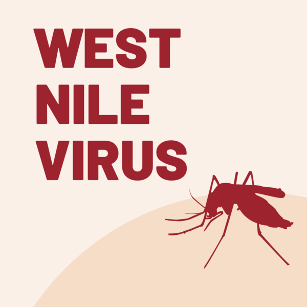 West Nile Virus Graphic