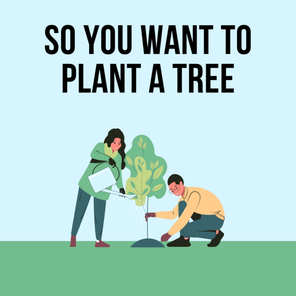 Tree Planting Graphic