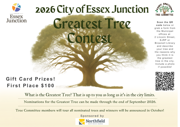 Flyer announcing the contest with information located in the story.