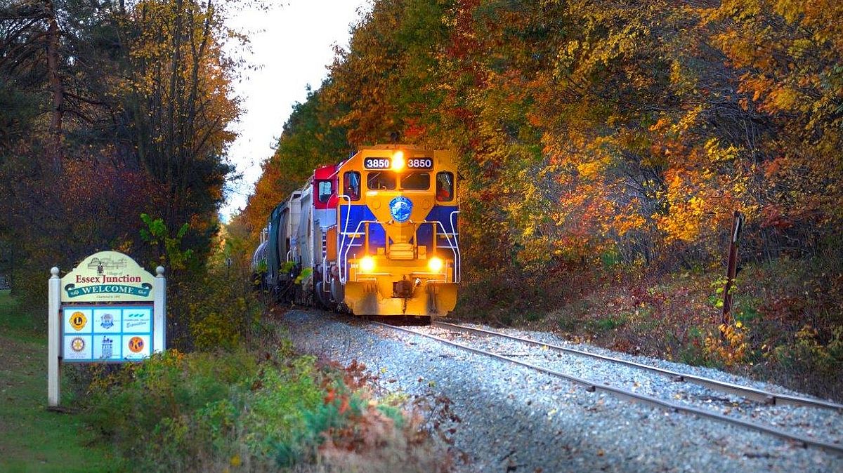 train on tracks surrounded by fall foliage