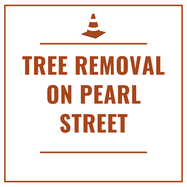 Text graphic that says Tree Removal on Pearl Street