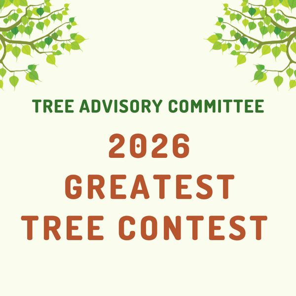 Text Graphic that says ‘Tree Advisory Committee Greatest Tree Contest” with graphics of tree branches